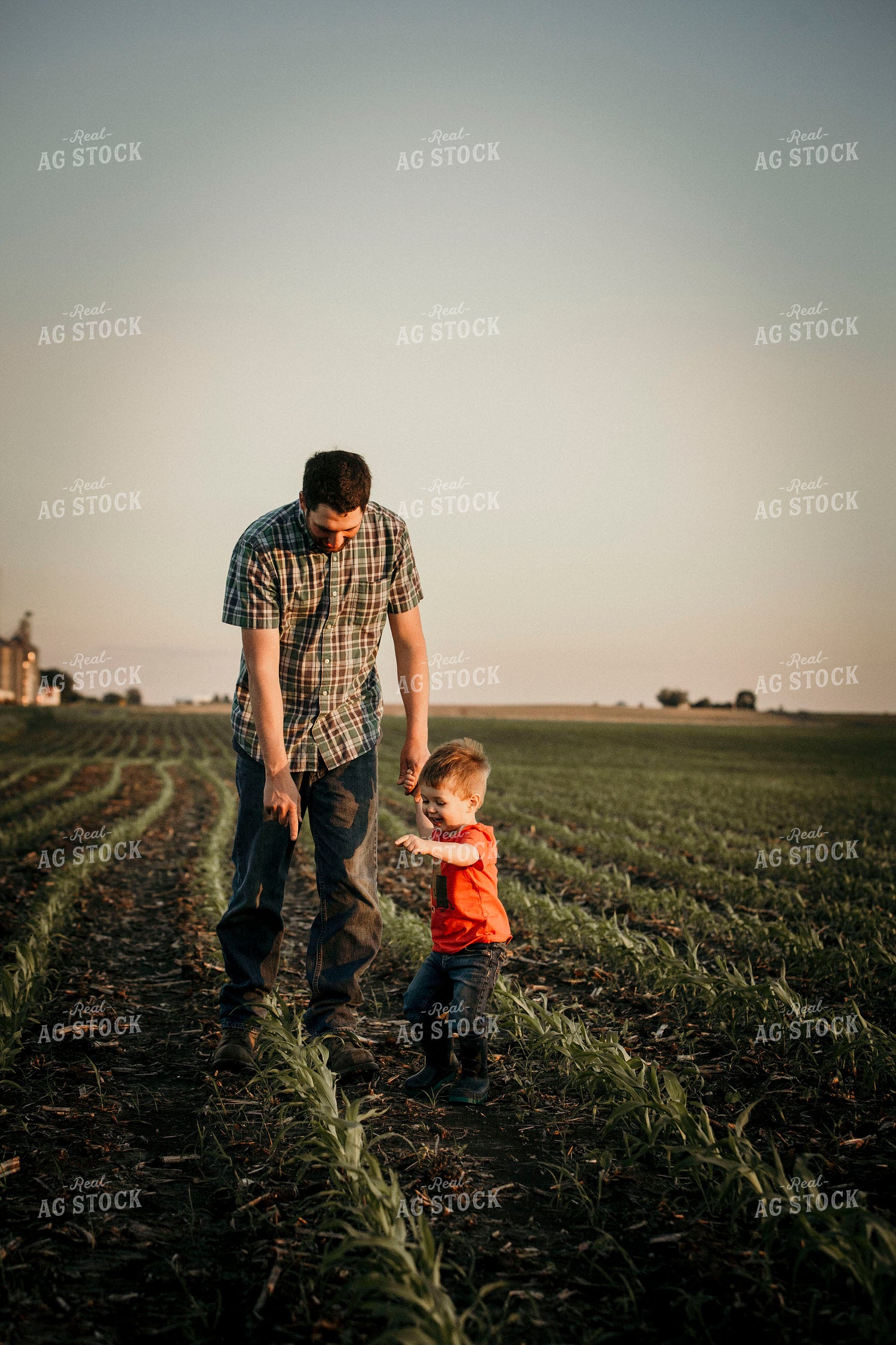 Farmer 2932