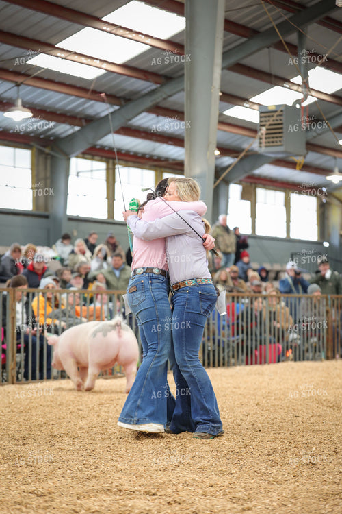 Showing Pigs 52323
