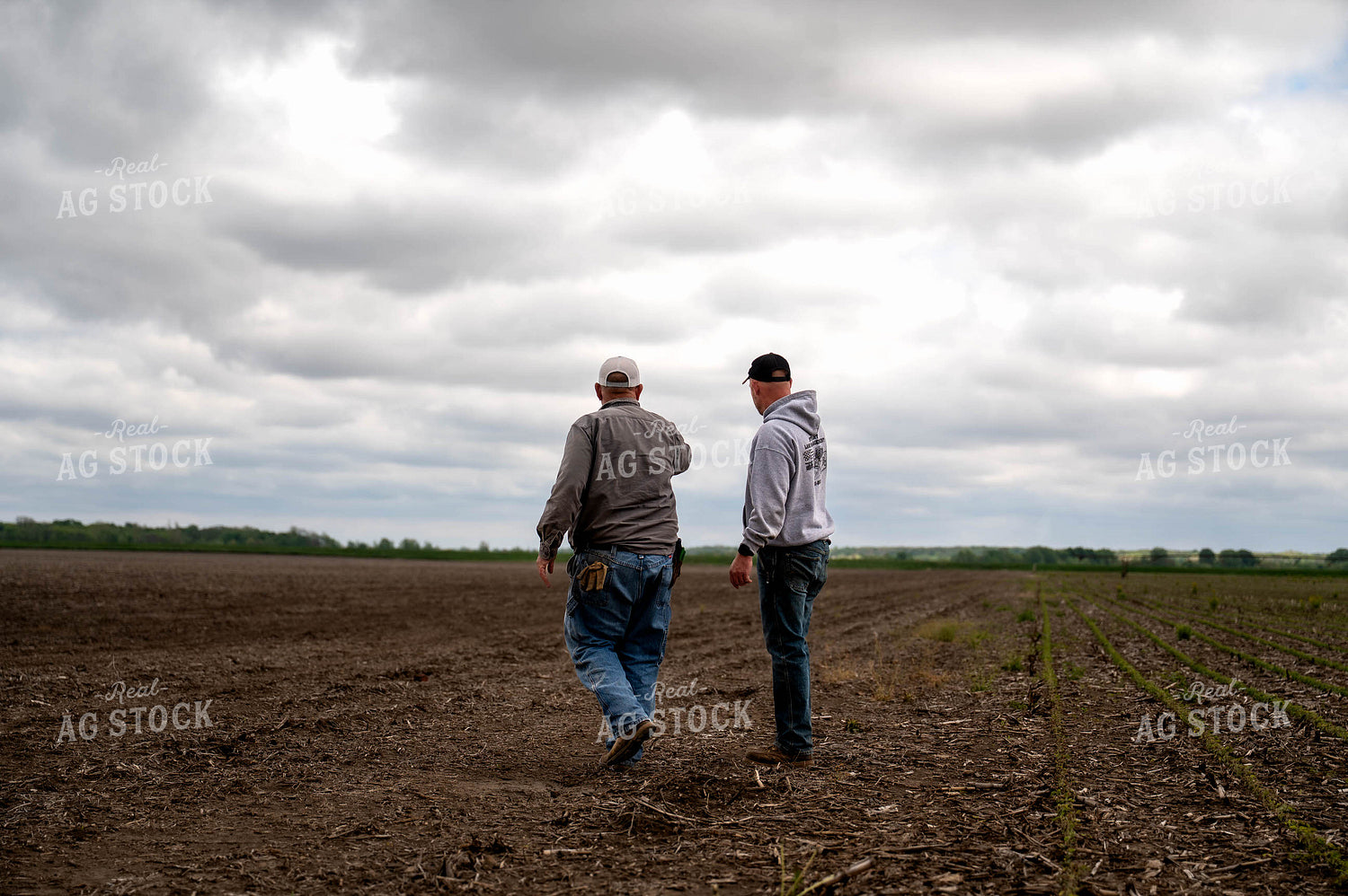 Farmers Talking in Field 115770