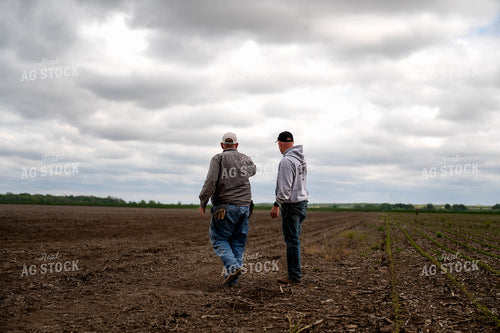 Farmers Talking in Field 115770
