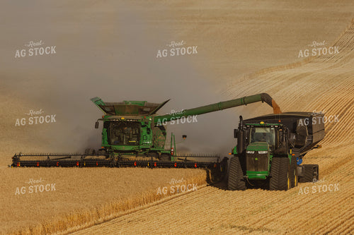 Wheat Harvest 187332