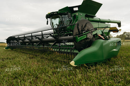Rice Harvest 125281