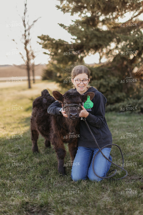 Farm Kid with Show Calf 174047