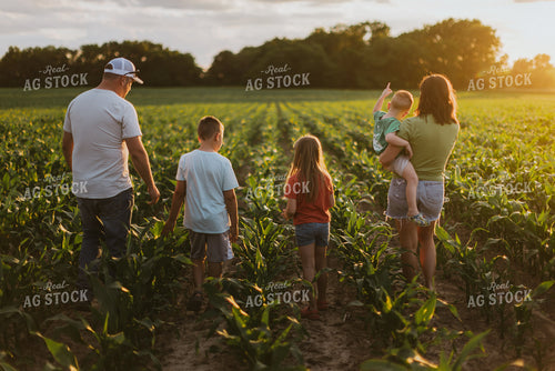 Farm Family Checking Corn 8814