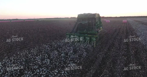 Picking Cotton at Dusk Drone 80022