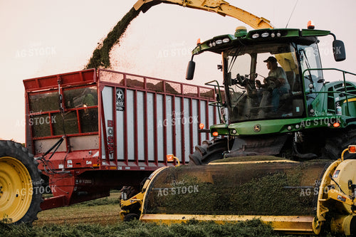 Haylage Harvest 272038