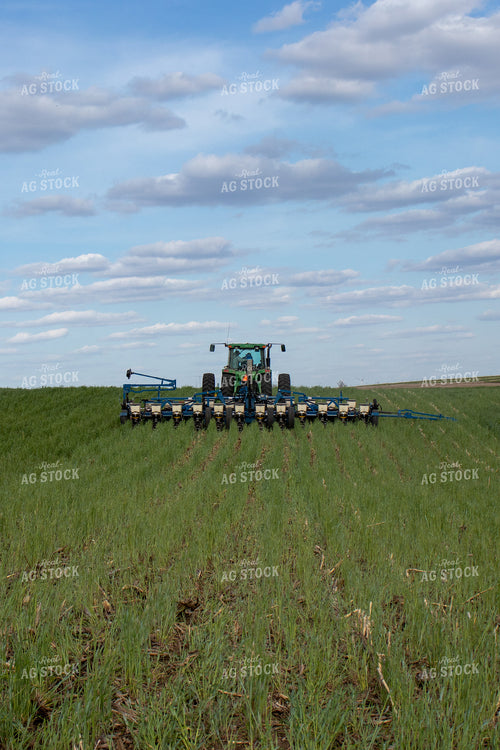 Planting into Cover Crops 67081