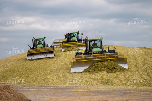 Moving Silage 211008