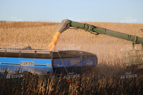 Unloading on the Go 82340