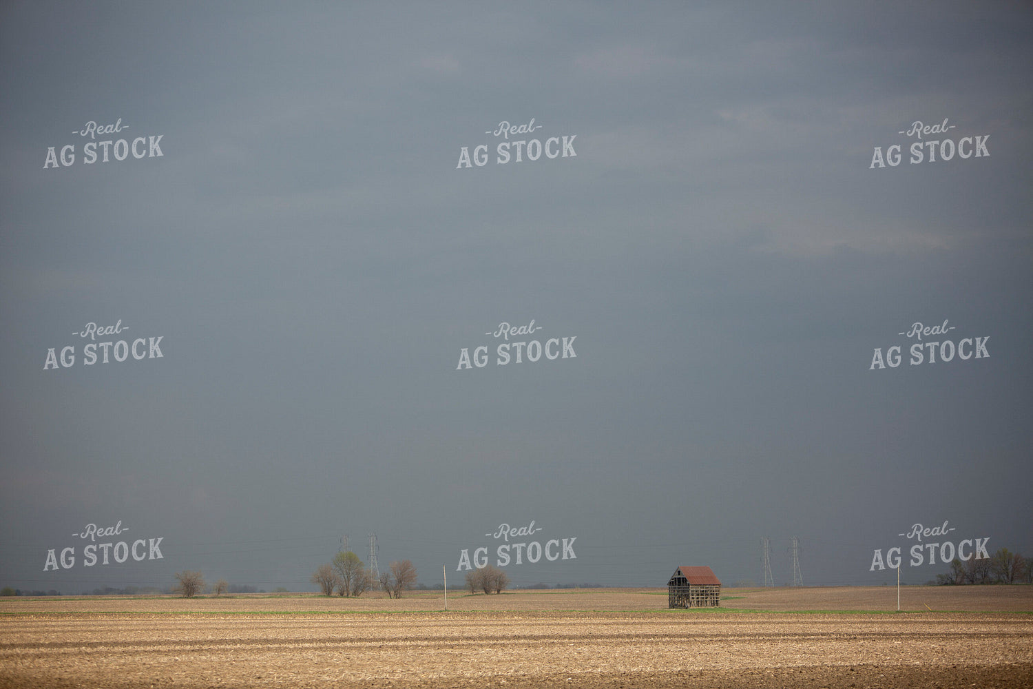 Rural 2019