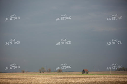 Rural 2019