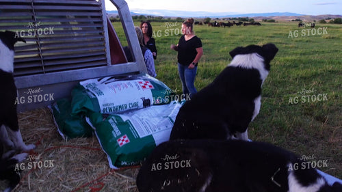 Ranchers With Sales Rep in Pasture 65865