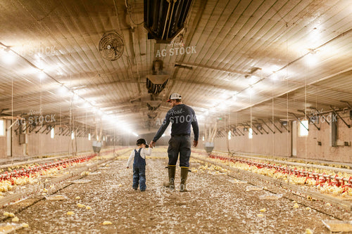Farmer and Son in Chicken Barn 280003