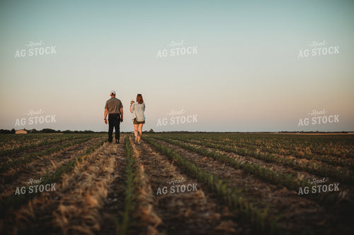 Farm Family Walking in Corn Field with Triticale Cover Crop at Sunset 5928