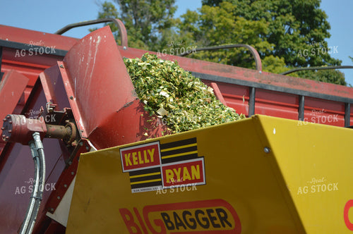 Bagging Silage 206063