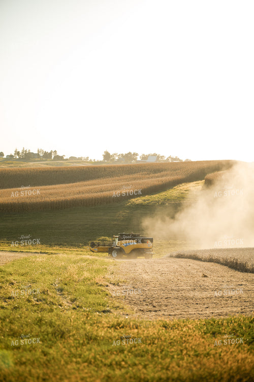 Soybean Harvest 215112