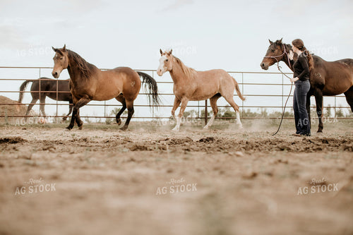 Feedyard 3054