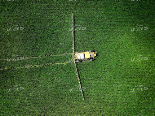 Spraying Corn 141371