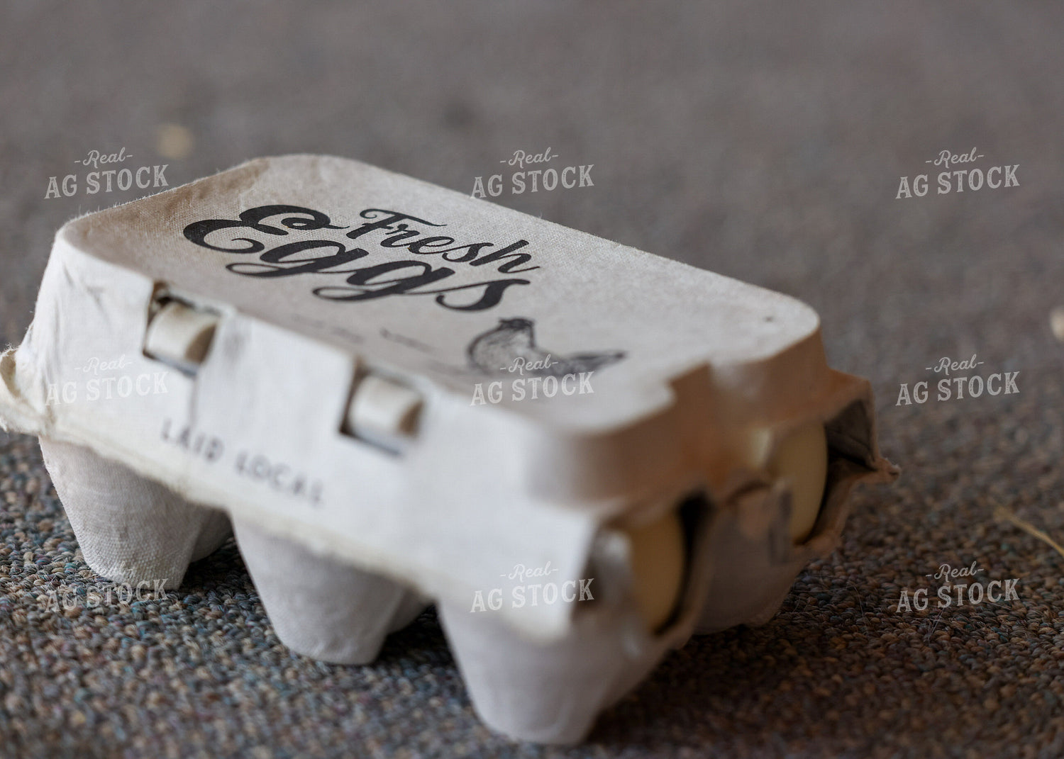 Egg Carton 160134