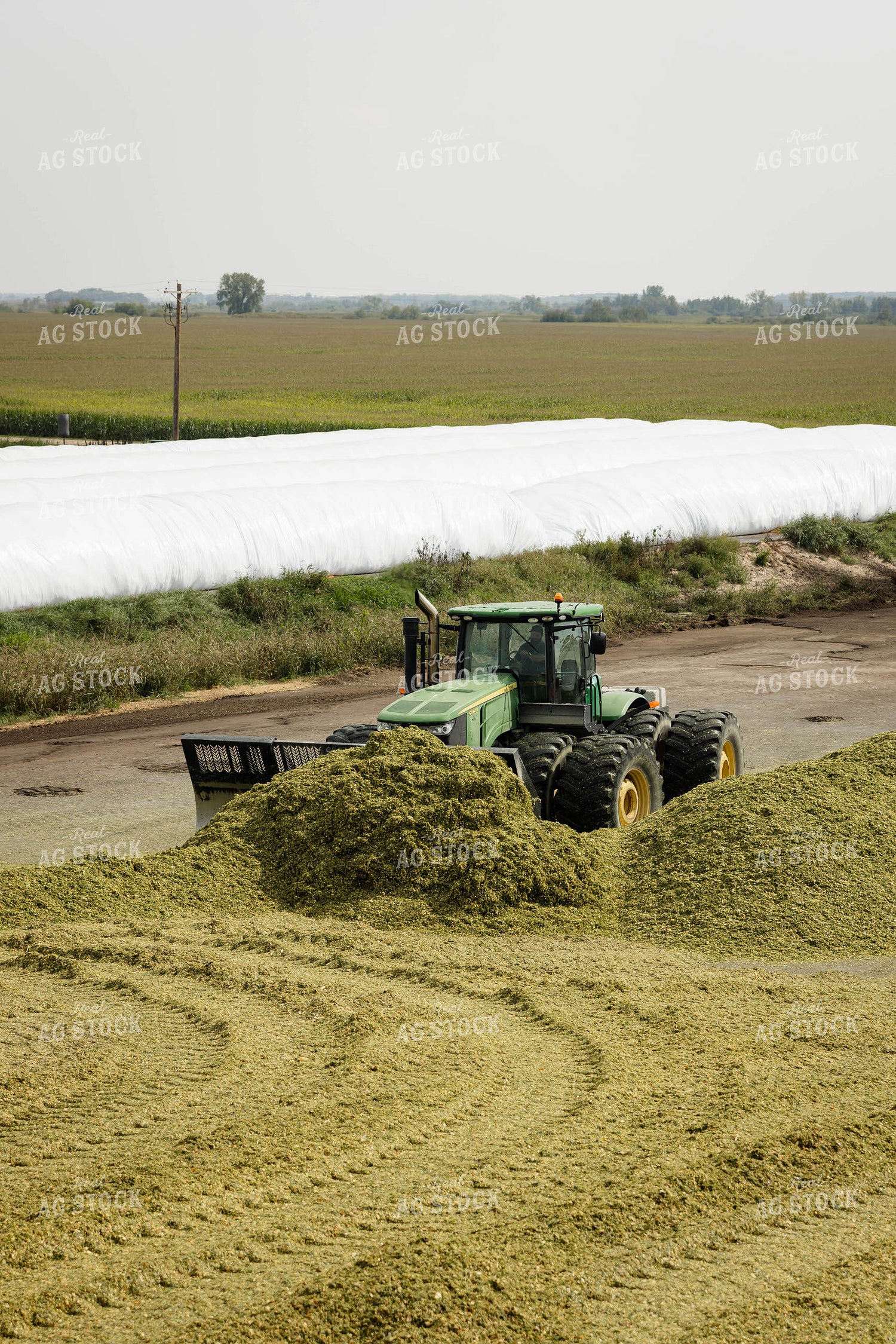 Packing Corn Silage 152943
