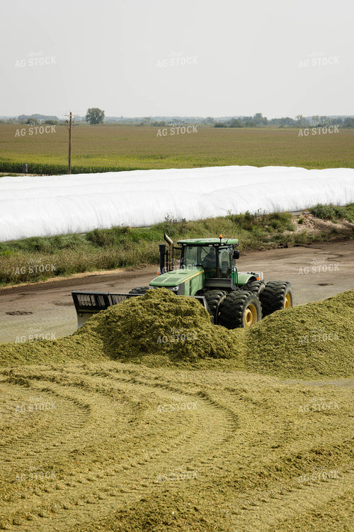 Packing Corn Silage 152943