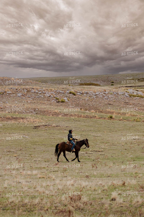 Rancher Rides Horses in Open Pasture 97151