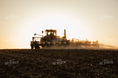 Planting 67549
