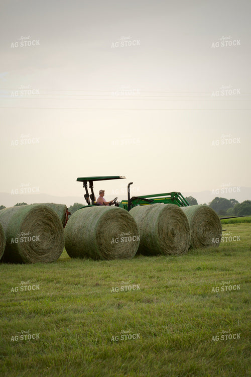 Putting Up Hay 251174