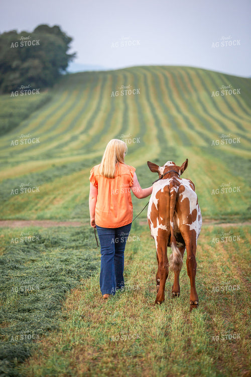 Farm Kid with Show Cow 270307