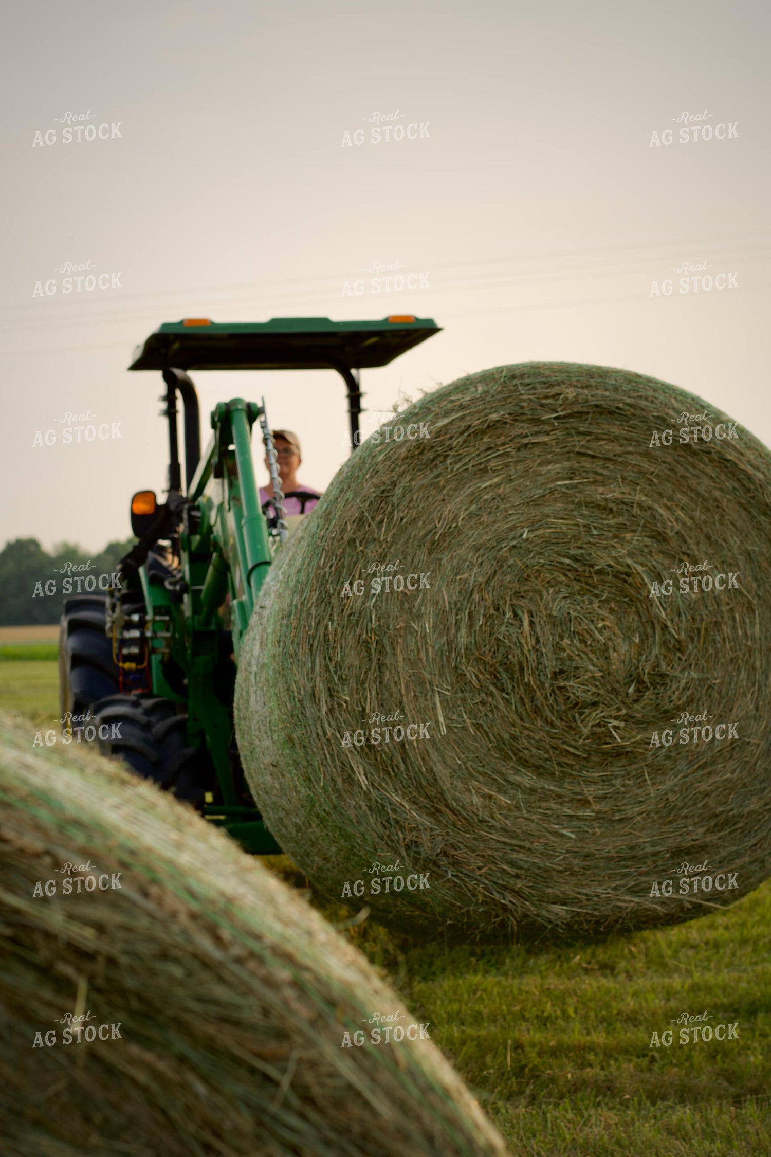 Putting Up Hay 251178