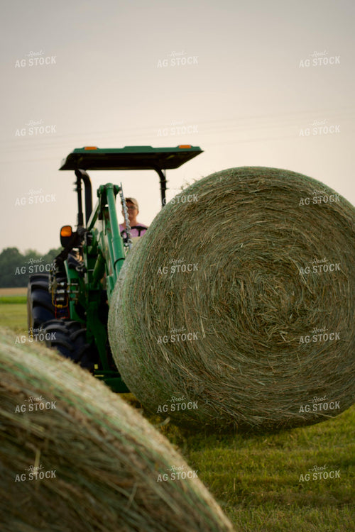 Putting Up Hay 251178