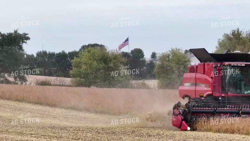 Soybean Harvest 250175