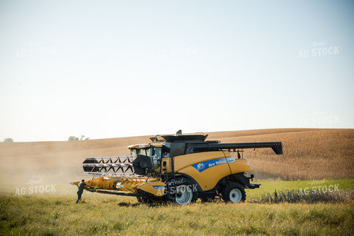 Soybean Harvest 215091
