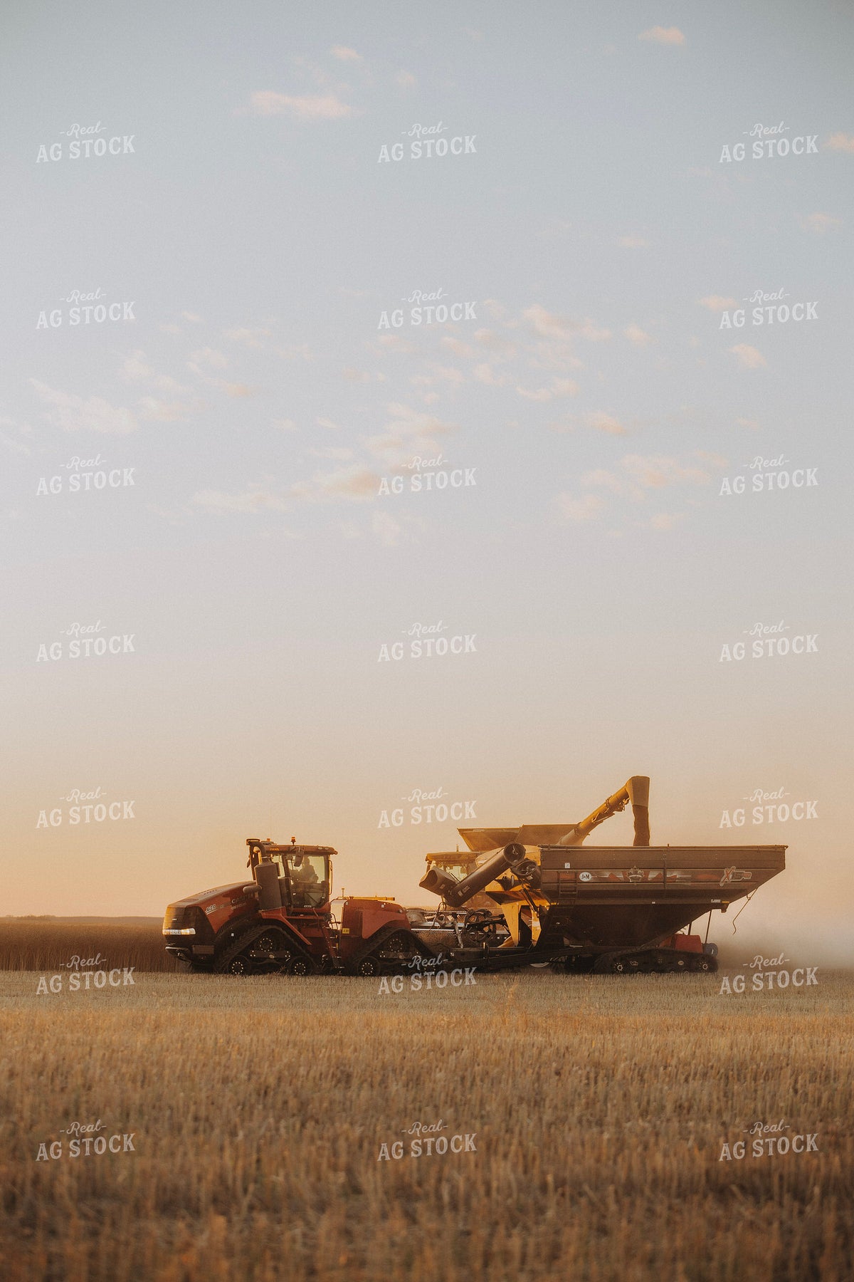 Canola Harvest 187440