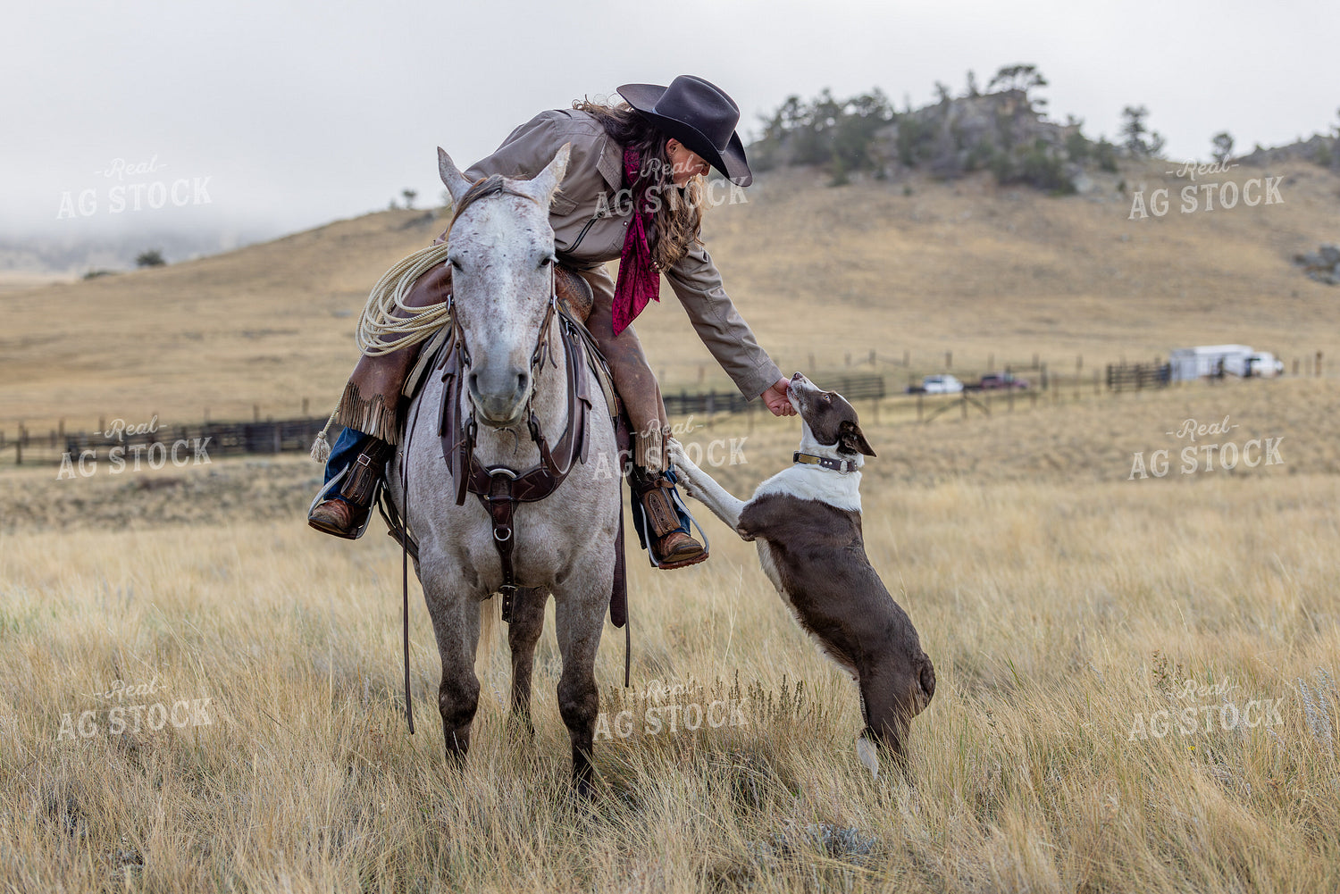 Cowgirl on Horseback with Dog 290035