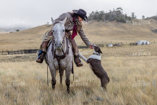 Cowgirl on Horseback with Dog 290035