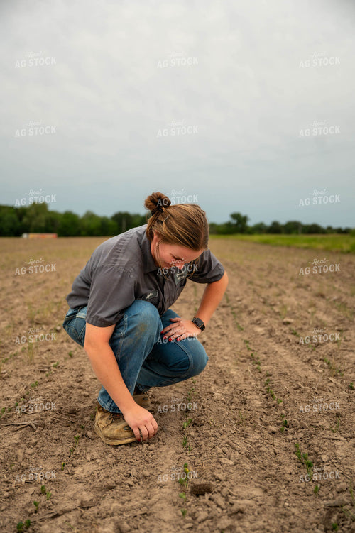 Female Farmer Checking Early Growth Soybeans 115724