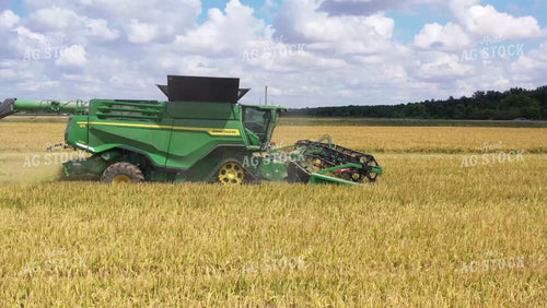 Rice Harvest 79427