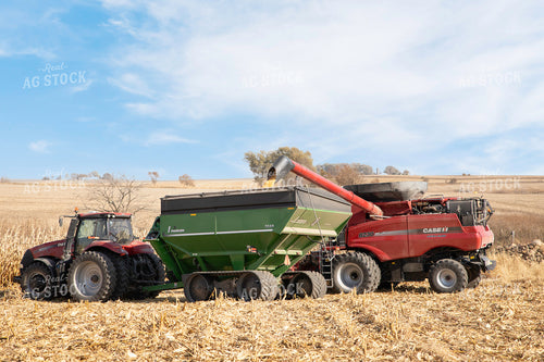 Corn Harvest 286000