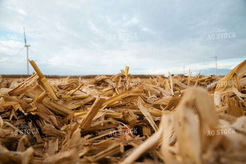 Corn Debris 26024