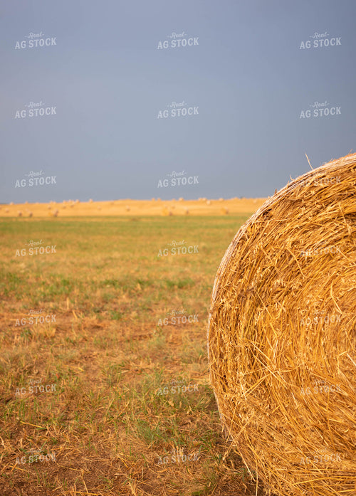 Hay Bales 185088