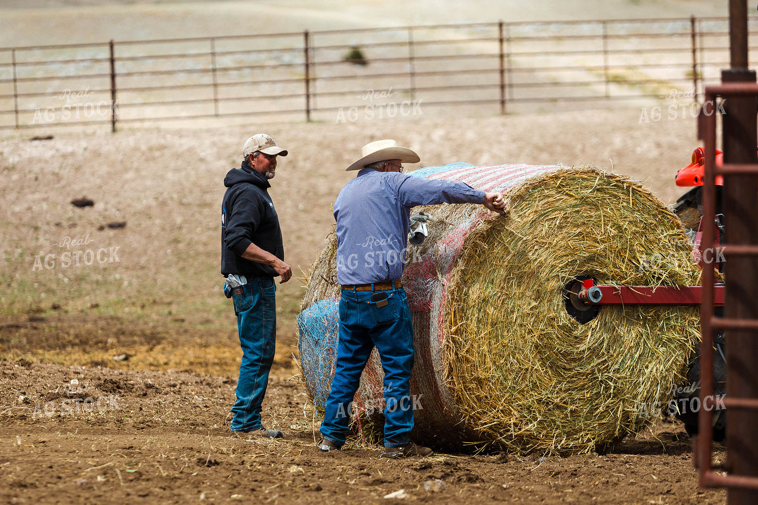 Ranchers Feeding Cattle 97237