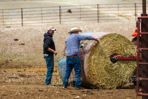 Ranchers Feeding Cattle 97237