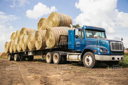 Round Bales on a Trailer 67403