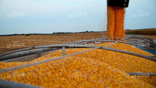 Grain Cart Unloading into Semi 25497