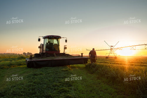 Farmer Cutting Rye 223016