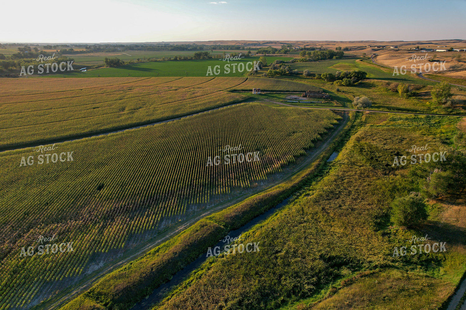 Aerial of Farmland in Summer 261074