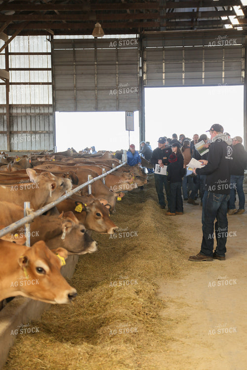 Dairy Farm Tour 161081