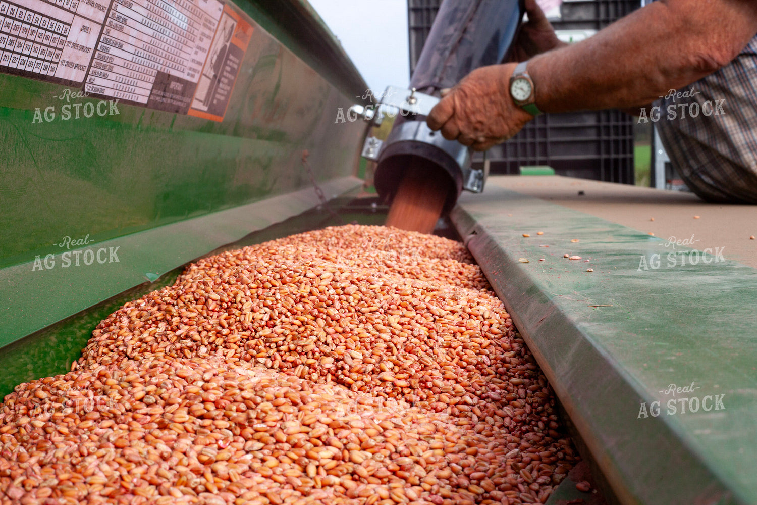 Filling the Seed Drill 132102
