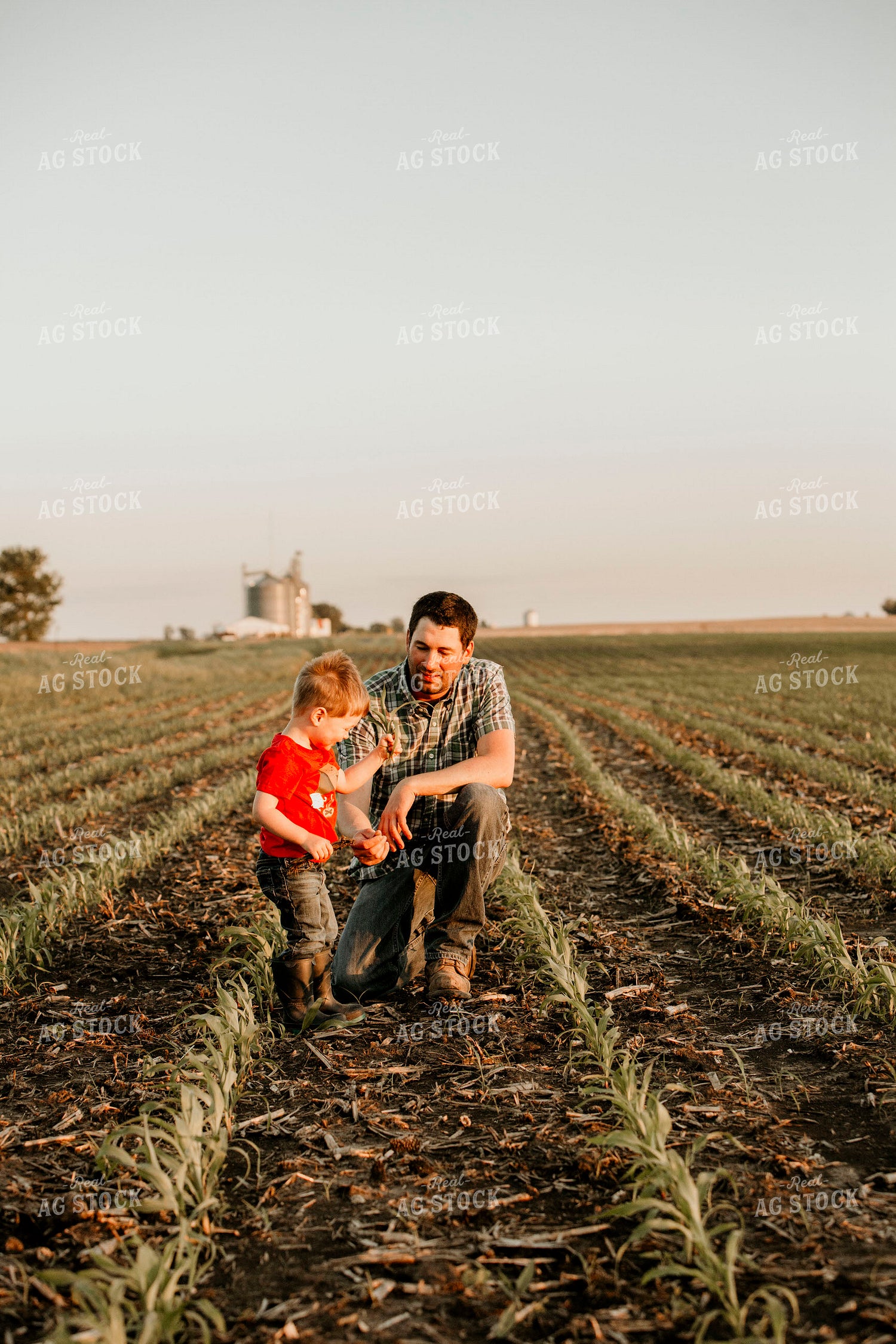 Farmer 2929